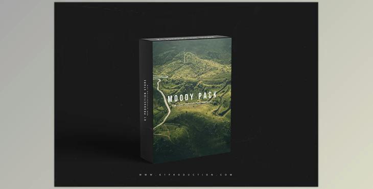 Sellfy – Moody Collection Preset