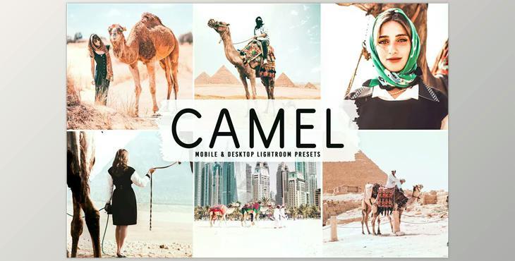 Camel Pro Lightroom Presets CreativeMarket - 6622399