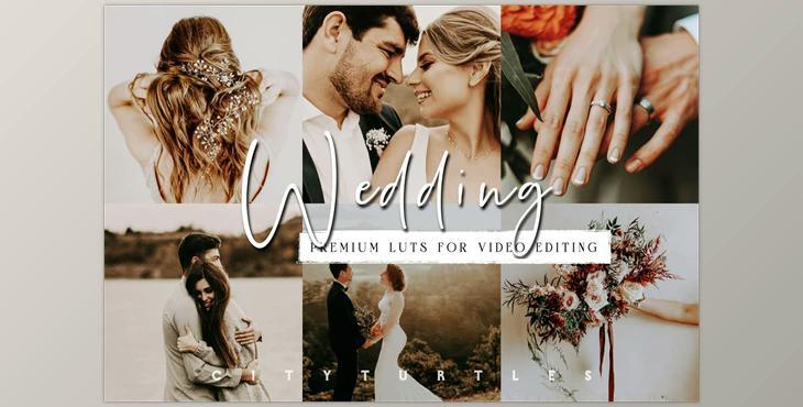 Moody Wedding LUTs for Video Editing CreativeMarket-5954073 (cube)