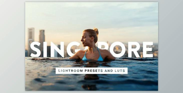 50 Singapore Lightroom Presets LUTs (XMP, PNG, DNG, PDF, ZIP)