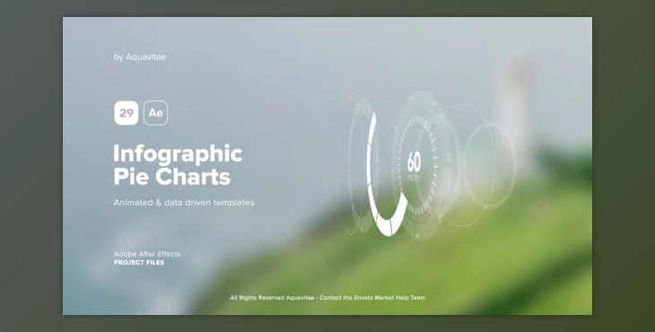 Infographic Pie Charts (Videohive 39699110) - AE Project