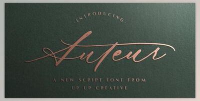 Auteur Script Font