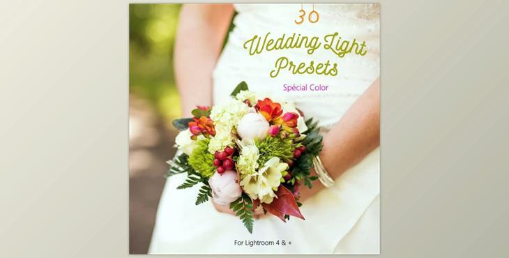 Pack 30 LR Presets Wedding Light Day By Presets Light Shop