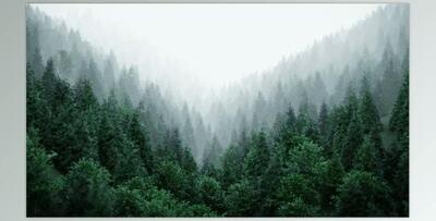 Gumroad - Wolf Studio Art All Blender Collections