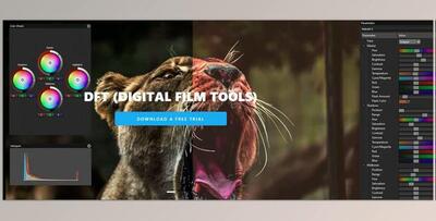 Digital Film Tools - Boris FX