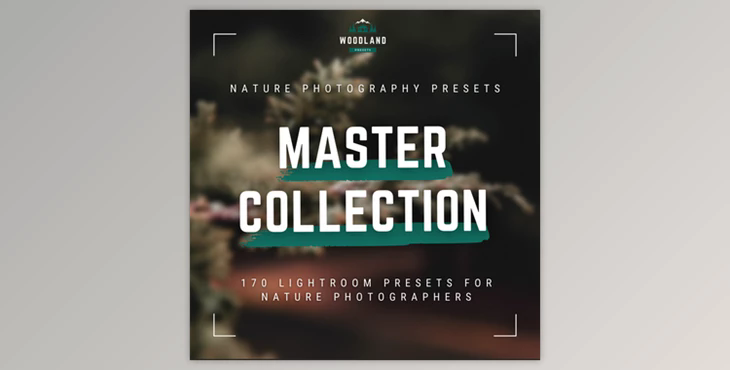 Woodland – Master Collection including Limited – Lightroom Presets Pack