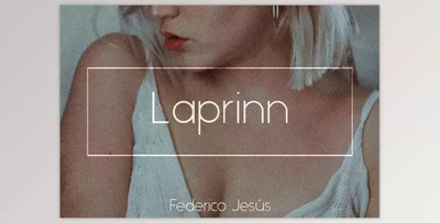 Laprinn Bundle – PS & LR Presets 6294664 (Mob, Desk)