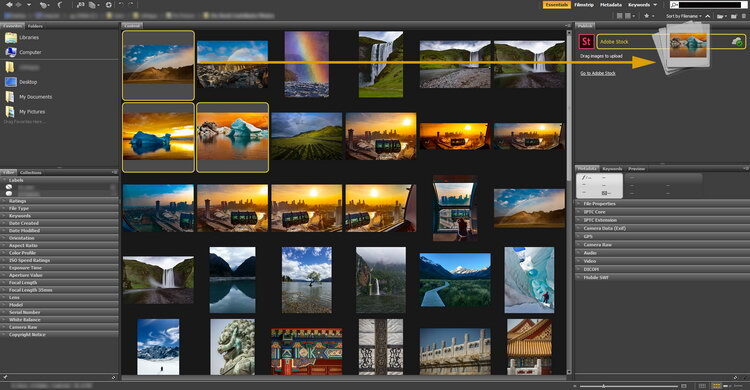 Adobe Bridge 2025 v15.1.0.635 Win/macOS