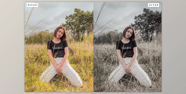 Dark Professional Lightroom Presets RC846AP