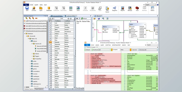 Nucleon Database Master v10.6.155.0219 + CRACK