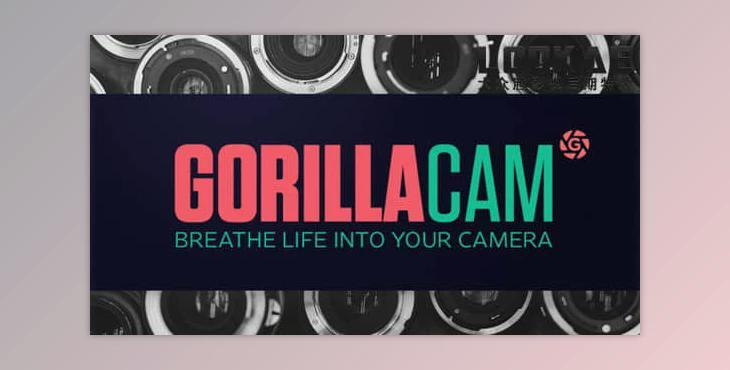 GreyscaleGorilla – GorillaCam for Cinema 4D