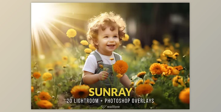 Creativemarket – Realistic sunlight overlays PNG and JPG