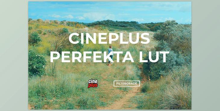 Cineplus Perfekta LUT (filtergrade)