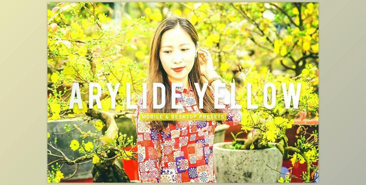 Arylide Yellow Pro Lightroom Presets CreativeMarket - 6926766