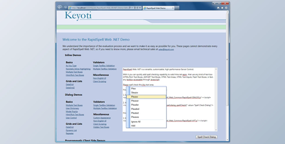 Keyoti RapidSpell Web ASP.NET v6.1.0 (WebForms & MVC) Retail + Activation Key