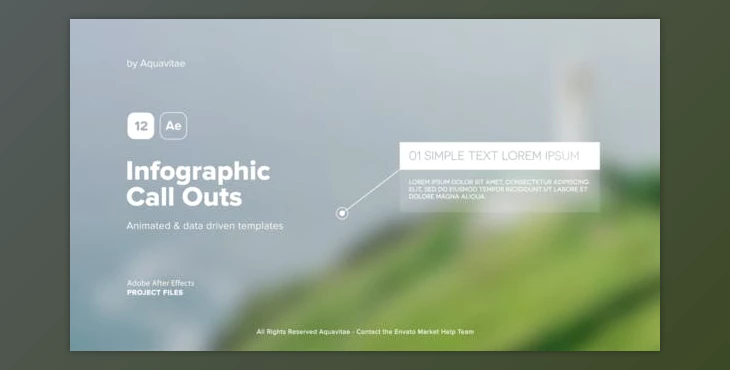 Call Outs (Videohive 39862886) - AE Project