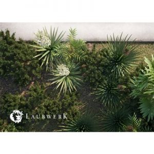 Laubwerk Plants Kit 4 v1.0.25 Windows