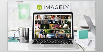 Imagely (v2.3) + Nextgen pro (3.17) + Lightroom Plugin (1.0.22)
