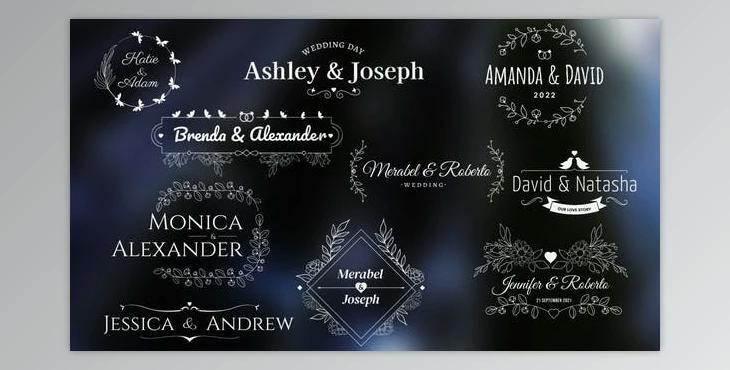 Wedding/Romantic Titles (Videohive 34029074)