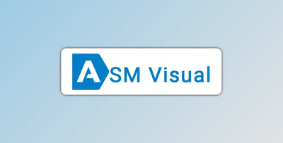 ASM Visual Pro v1.1.6.0 + CRACK