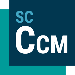 Siemens Star CCM+ 2506.0 v20.04.007-R8 Win/Linux + APT