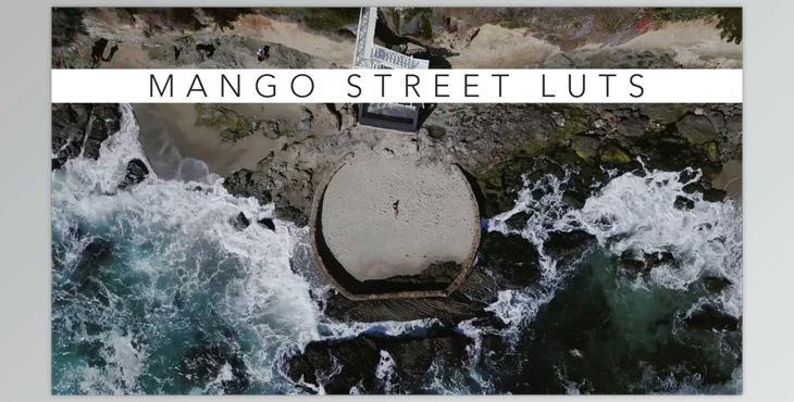 Mango Street LUT Collection (Venice, Chinatown, Joshua Tree, Panama, Wicker Park, Kivik)