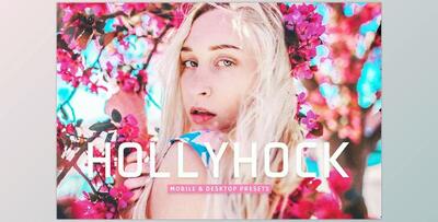 Hollyhock Pro Lightroom Presets CreativeMarket - 7039553