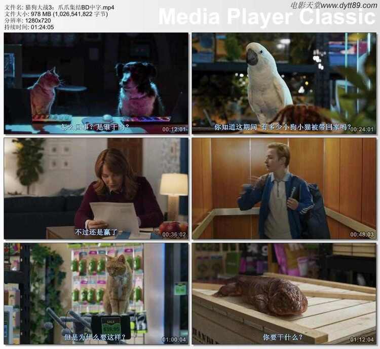 2020年美国喜剧奇幻片《猫狗大战3：爪爪集结！》BD中字
