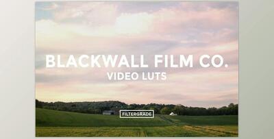 Blackwall Film Co. Video LUTs