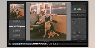 ProLost Vintage Preset