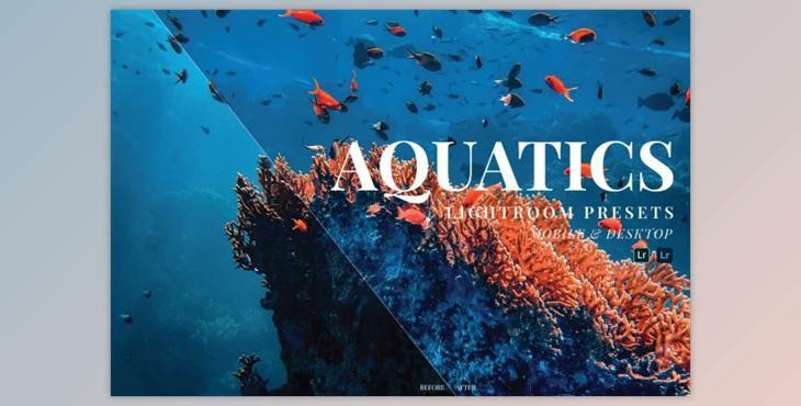 Aquatics Mobile and Desktop Lightroom Presets by Laksmita