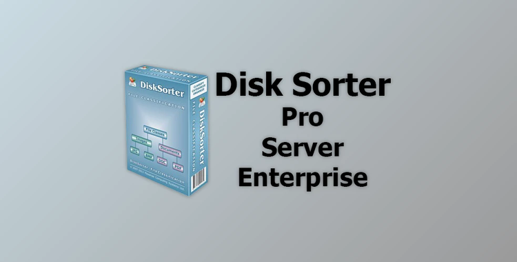 Disk Sorter Pro / Server / Enterprise v15.8.14 for win x86 & x64 + Activator