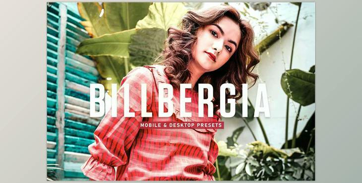 Billbergia Pro Lightroom Presets CreativeMarket - 6925580