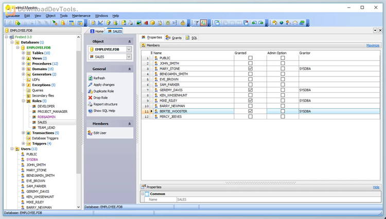 SQL Maestro Firebird Maestro Professional v24.2.0.2 Multilingual + CRACK