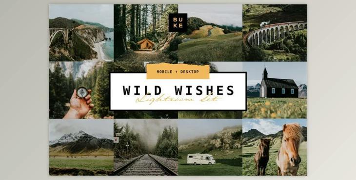 Wild Wishes – 6 Lightroom Presets