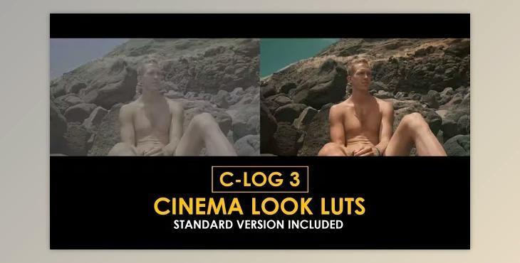 C-Log3 Cinema Look and Standard Color LUTs (Videohive 50930792)