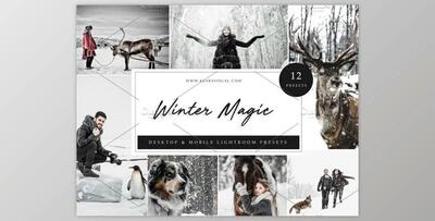 12 x Lightroom Presets, Winter Magic By Kzara Visual Concepts