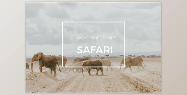 Adventure Series: Safari LR Preset By Straight, No Chaser Shop (LRTEMPLATE)