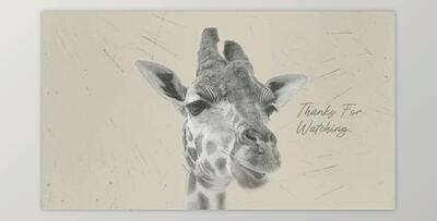 Paint Face Opener (Videohive 38020897) - AE Project