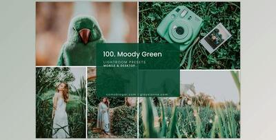 100. Moody Green Preset CreativeMarket-4998928 (DNG, ZIP, XMP)