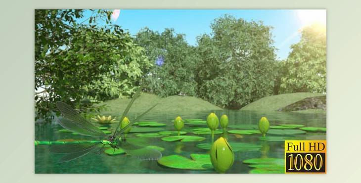 Lilies and Dragonfly (Videohive 40026892) - AE Project