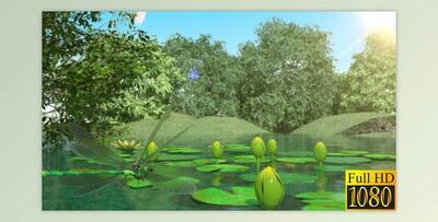 Lilies and Dragonfly (Videohive 40026892) - AE Project