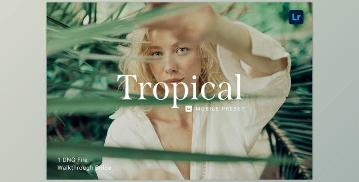 Tropical Lightroom Mobile Preset CreativeMarket-5914234 (DNG)