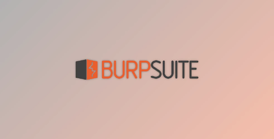 Burp Suite Professional v2025.10.5 + CRACK