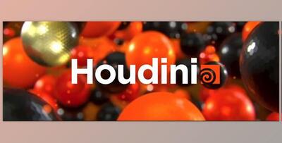 SideFX - Houdini INDIE v21.0.440 (WIN)