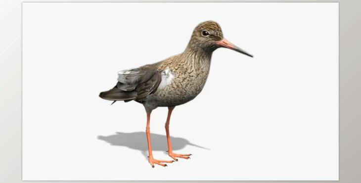 Unreal engine - Redshank v5.2