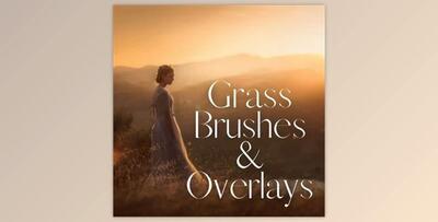 JD Grass Overlays and Brushes
