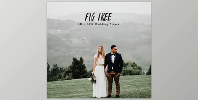 Andrewsuncolor – Fig Tree Lightroom Presets