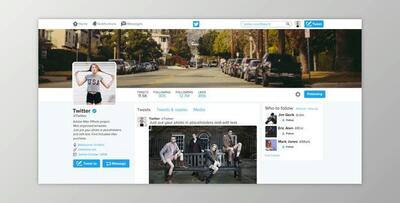 Twitter Promo (Videohive 19520410)