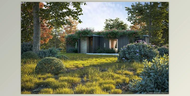 Maxtree – Plant Models Vol 60 (2023)